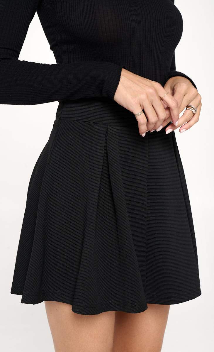 ARROW High Pleated Skater Skirt