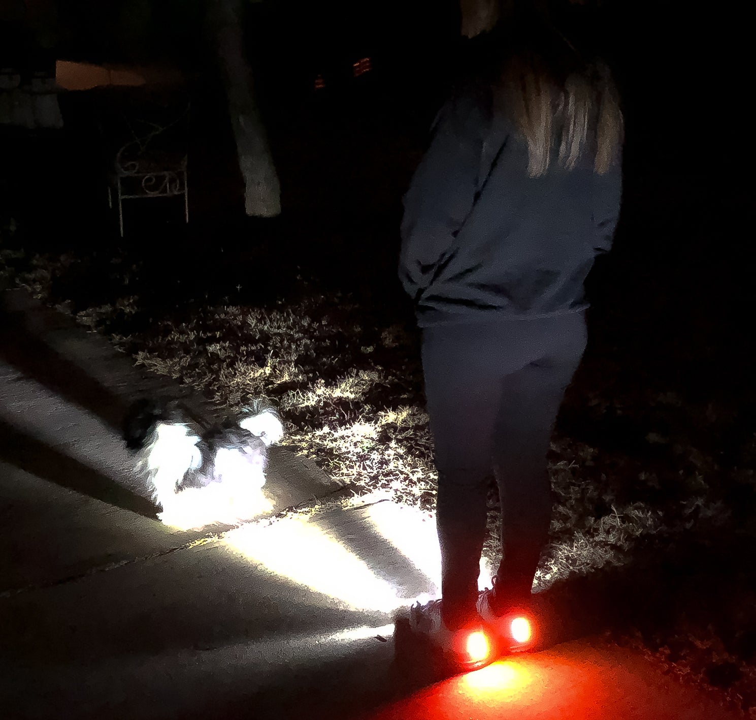 Night Runners With Built-in Safety Lights