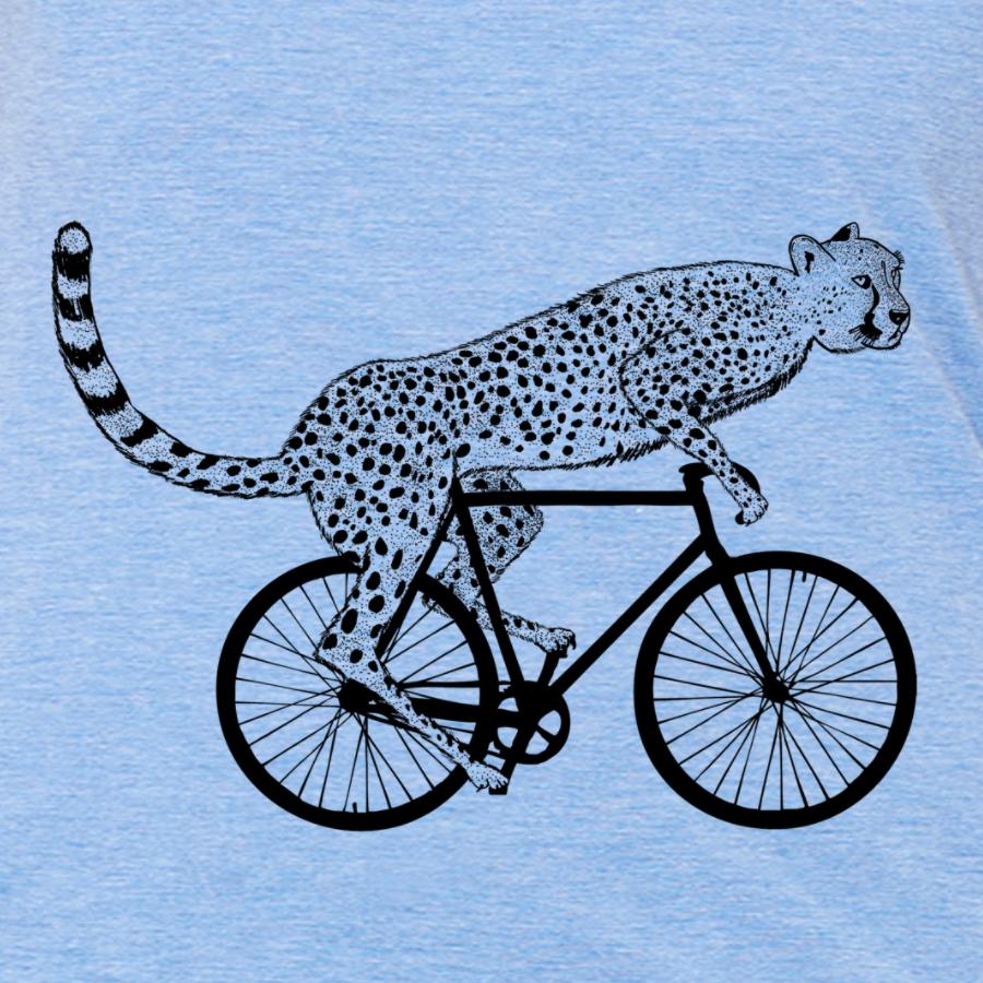 Fastest Cat on Two Wheels